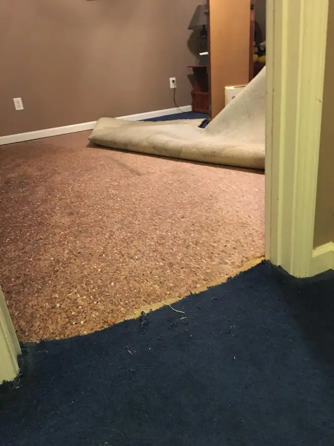 Carpet pad removal revealing water damage during Water Mitigation Services in Dunellen